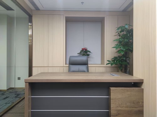 國(guó)貿(mào)cbd 國(guó)貿(mào)三期 地標(biāo)建筑 全新裝修帶家具 對(duì)電梯